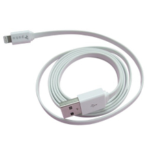 عينة 33 كابل نقل USB AM وI-PHONE 5 أبيض
